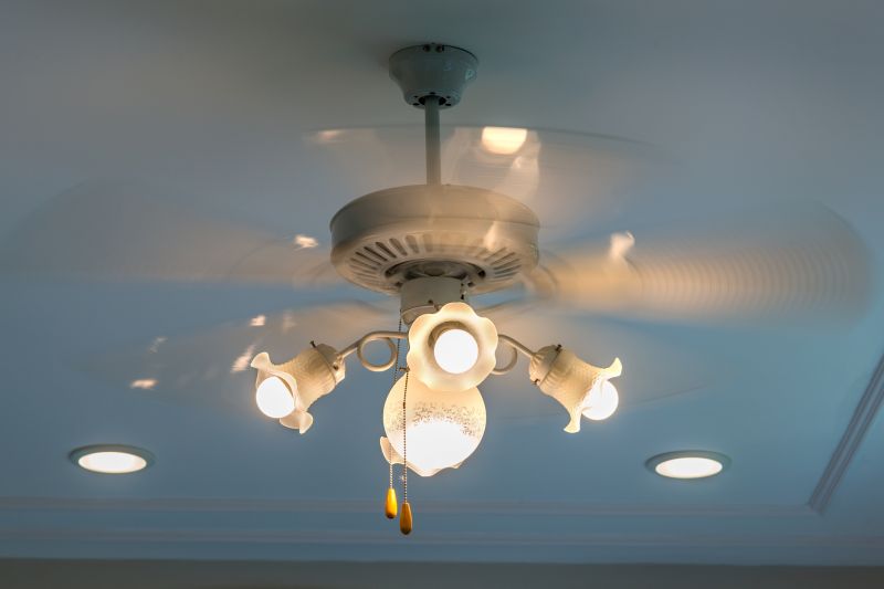 Stylish Ceiling Fans