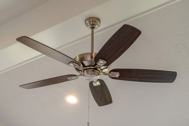 Beautiful Ceiling Fan